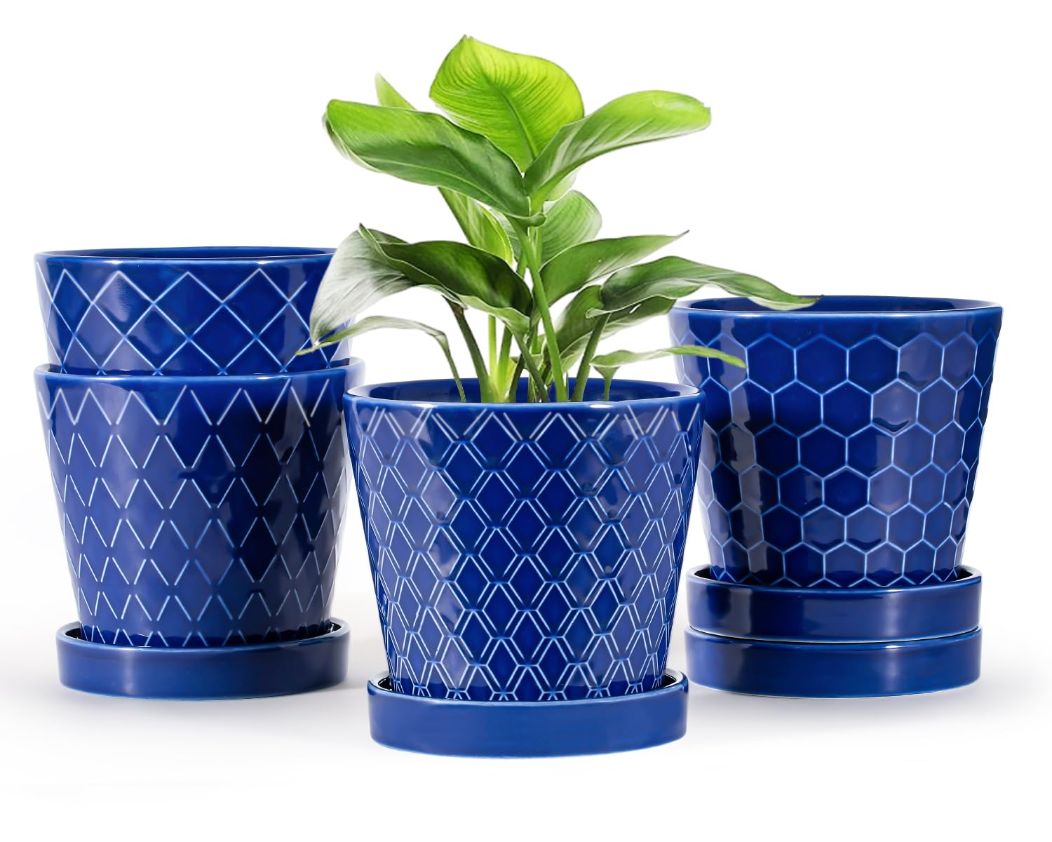 EFISPSS front view of blue ceramic planter set showing modern design and benefit