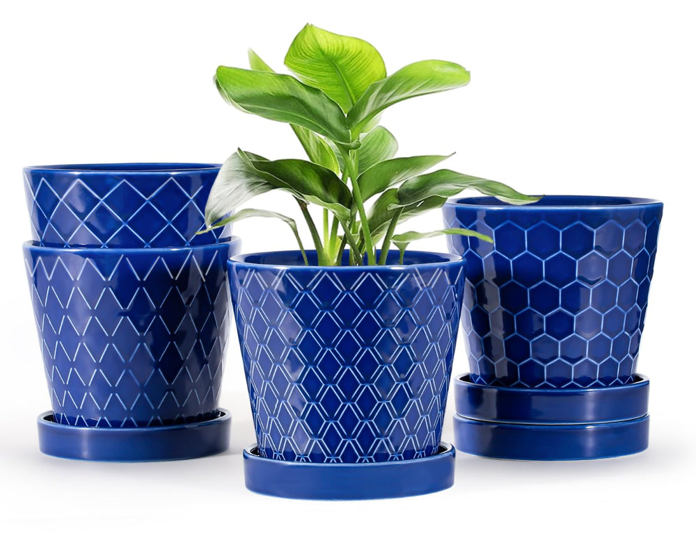 EFISPSS front view of blue ceramic planter set showing modern design and benefit
