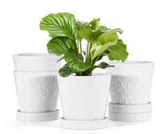 EFISPSS front view of four white planters highlighting coordinated set and clean look