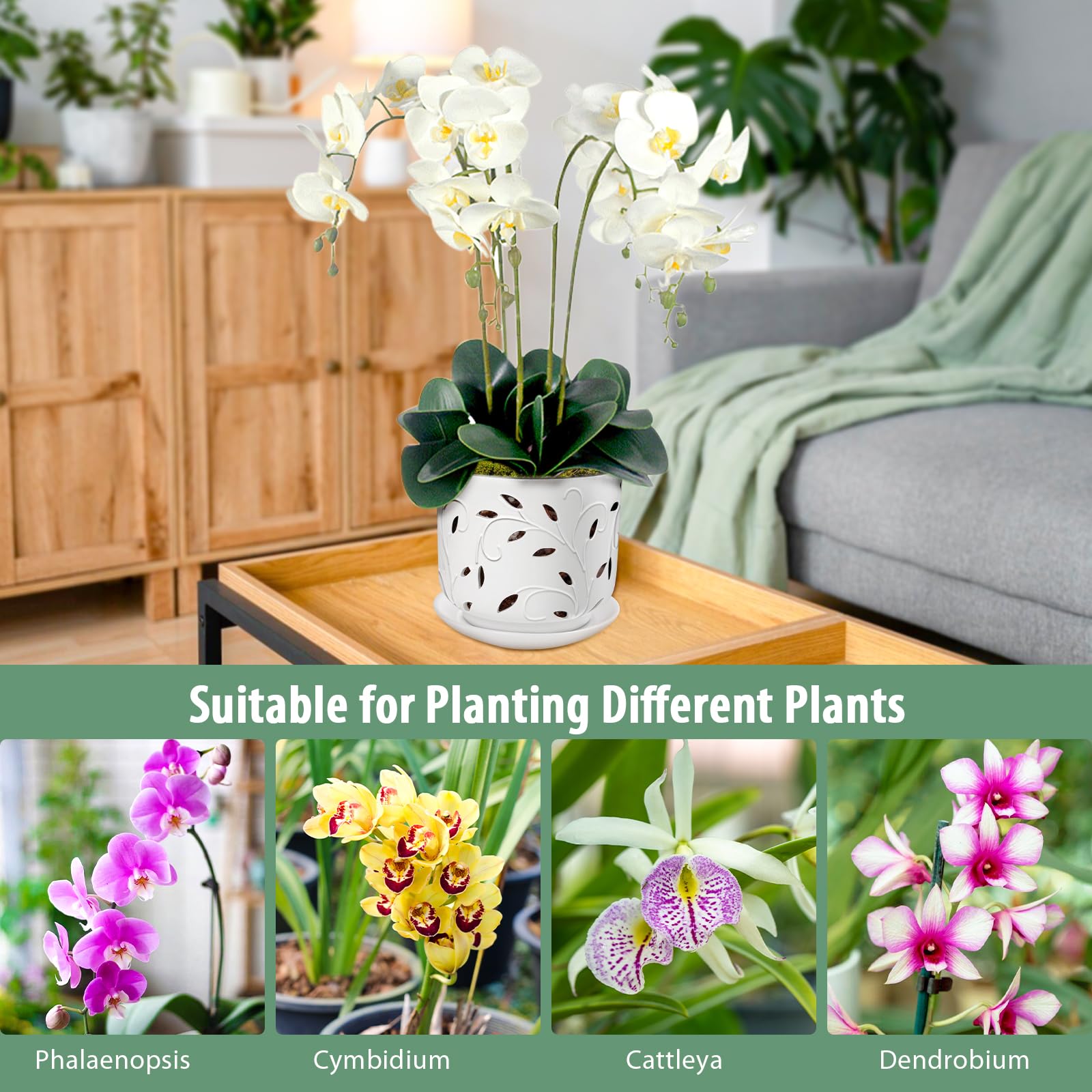 EFISPSS planter in use with blooming orchid showing elegant display