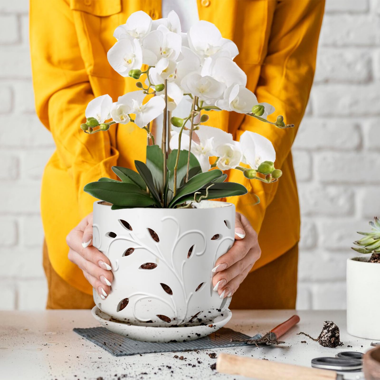 EFISPSS planter on shelf styled with décor showing modern aesthetic