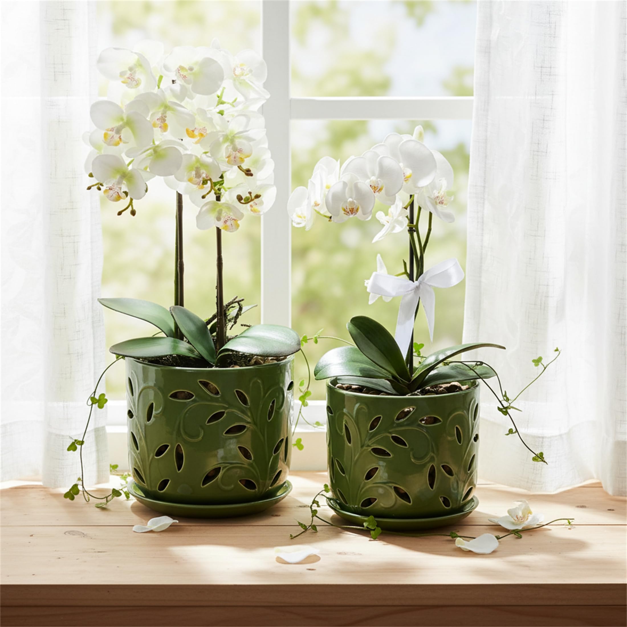 EFISPSS pot staged on balcony showing versatile indoor and sheltered outdoor use
