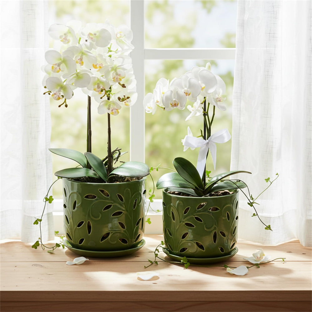 EFISPSS pot staged on balcony showing versatile indoor and sheltered outdoor use