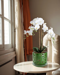 EFISPSS close-up of leaf-shaped ventilated cutouts that boost root air circulation