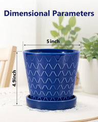 EFISPSS top view showing drainage hole for healthier plants and easy watering