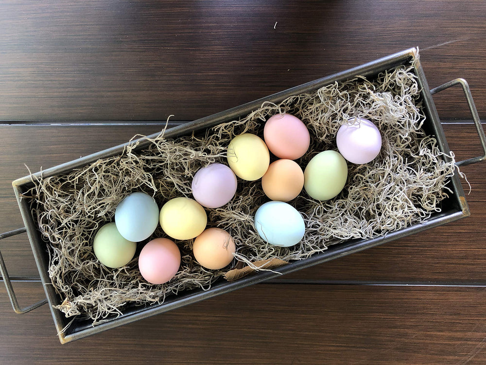 Eggcetera ceramic egg close-up showing smooth texture and paint-ready surface