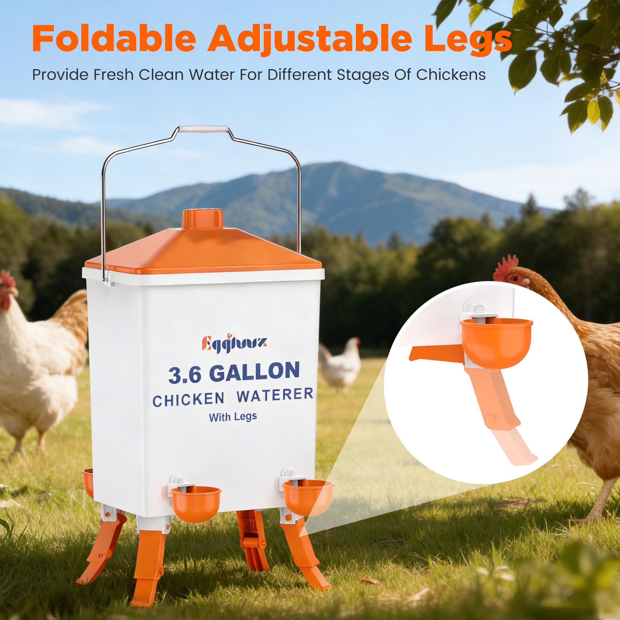 Eggluuz adjustable legs detail demonstrating versatile height for growing birds