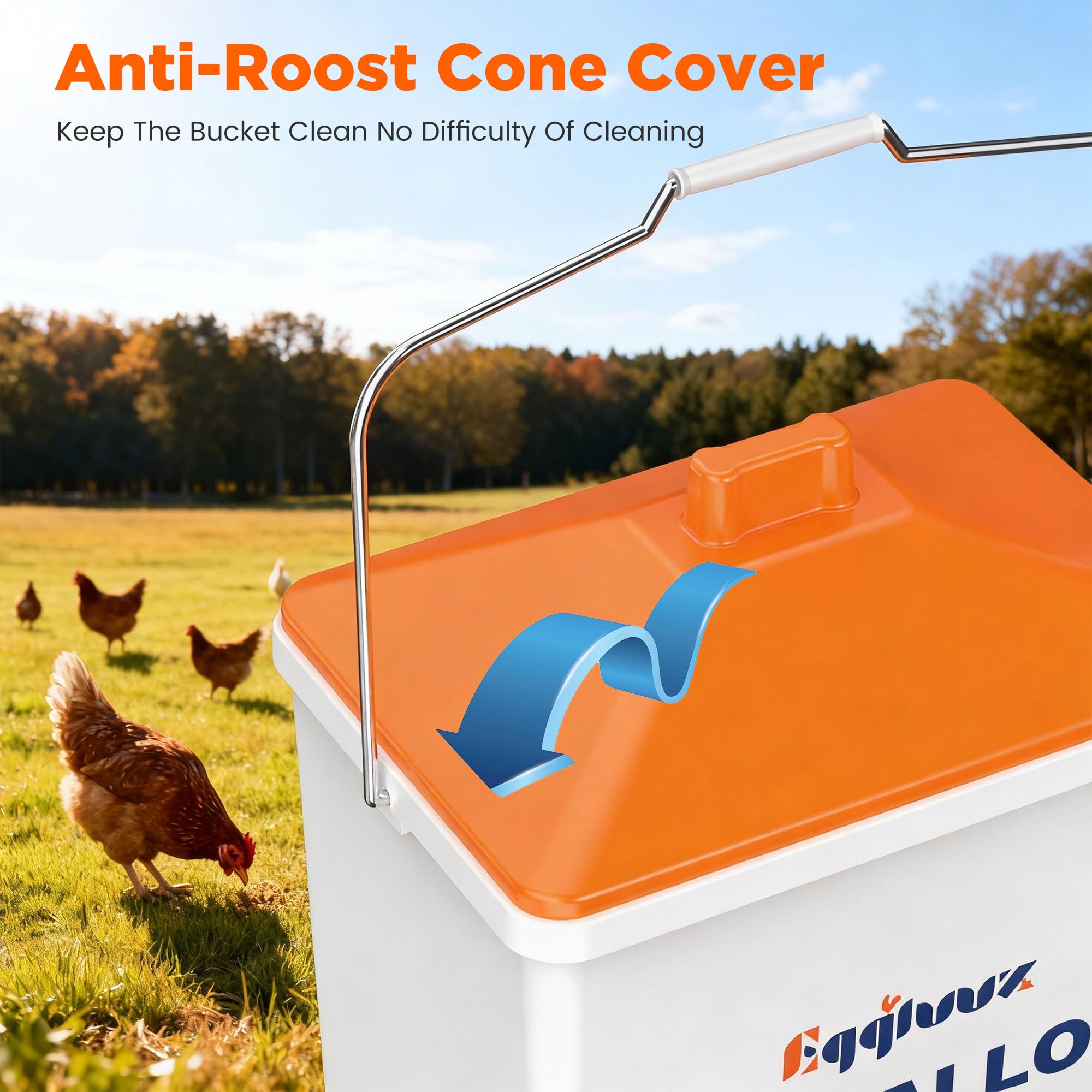 Eggluuz installed in a coop lifestyle shot showing tidy setup reduces wet bedding