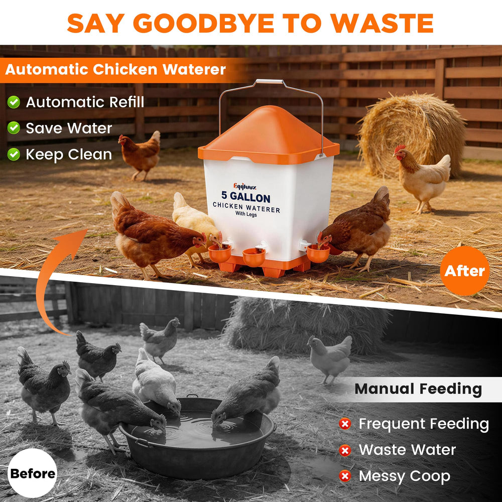 Eggluuz disassembled parts laid out for cleaning, simplifies routine sanitation