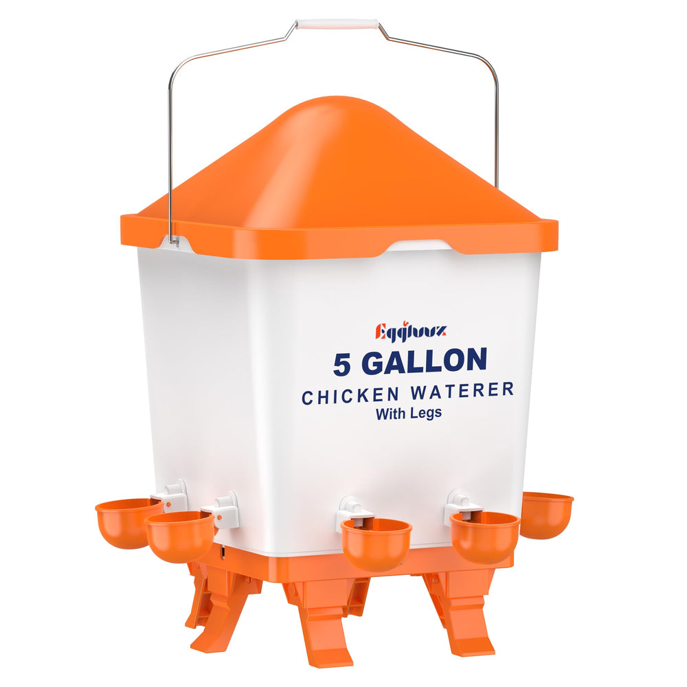 Eggluuz front view showing full five-gallon reservoir and cups, keeps flock hydrated