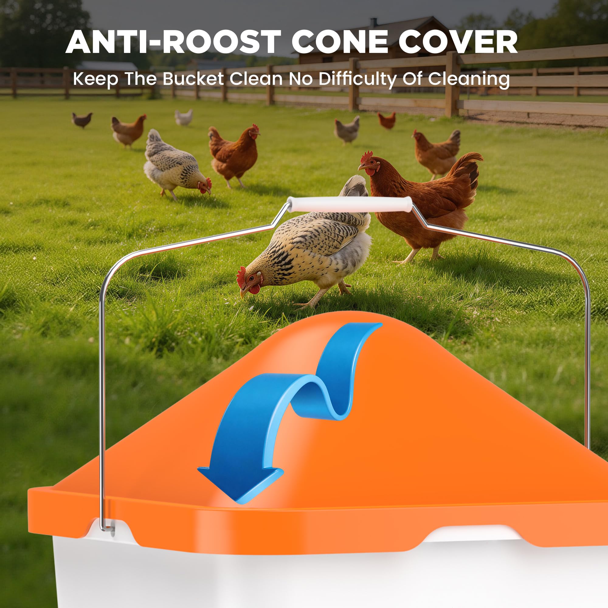 Eggluuz installed in a coop with chickens using cups, promotes cleaner bedding