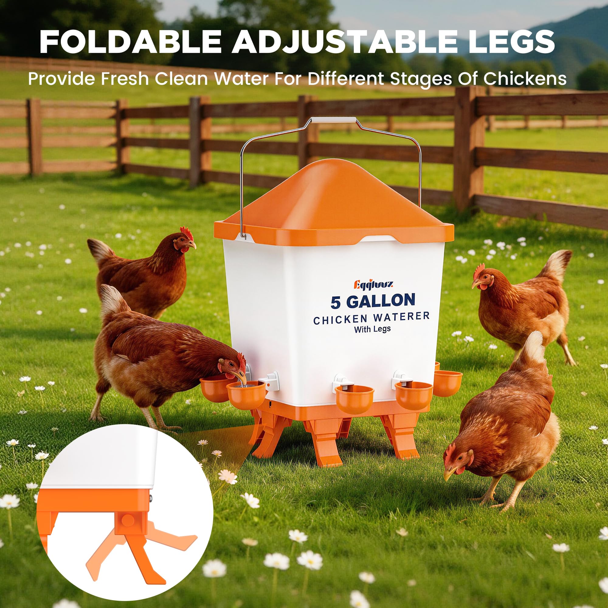 Eggluuz adjustable legs demonstrating height settings for chicks and adult birds