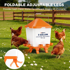 Eggluuz adjustable legs demonstrating height settings for chicks and adult birds