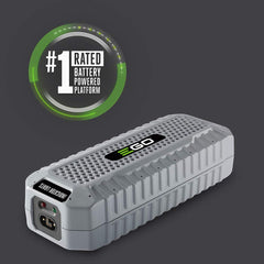 EGO Power+ CH1800 close-up label showing 12V 180W specs for reliable performance