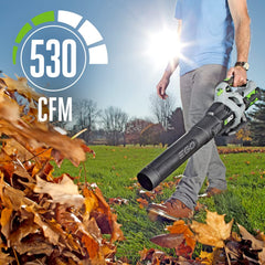 EGO Power+ spread nozzle closeup for wider, faster leaf clearing