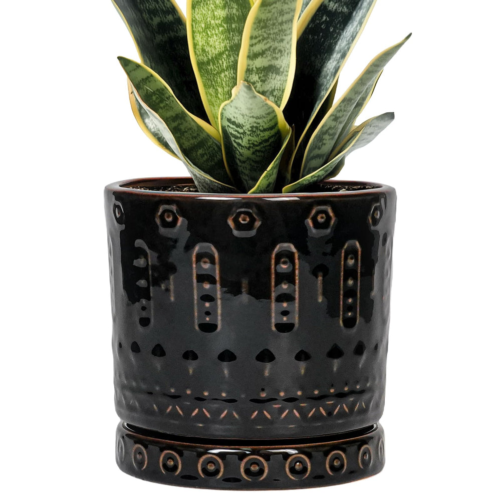 Eightpot front view black ceramic planter showcasing elegant boho design and style