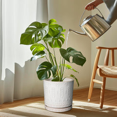 Eightpot close-up of glazed pattern highlighting durable finish and easy-clean benefit