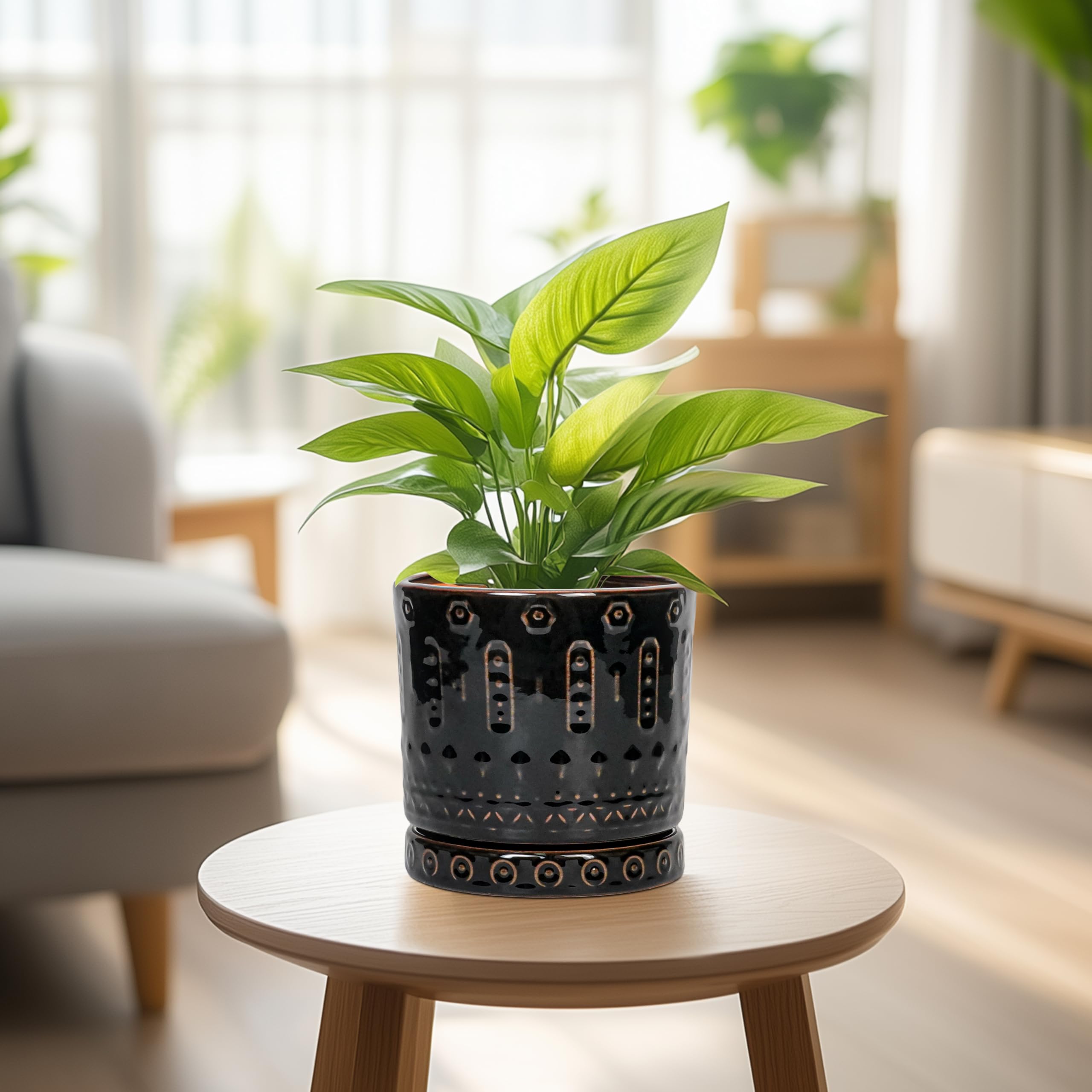 Eightpot grouped on a shelf showing scale and cohesive plant styling