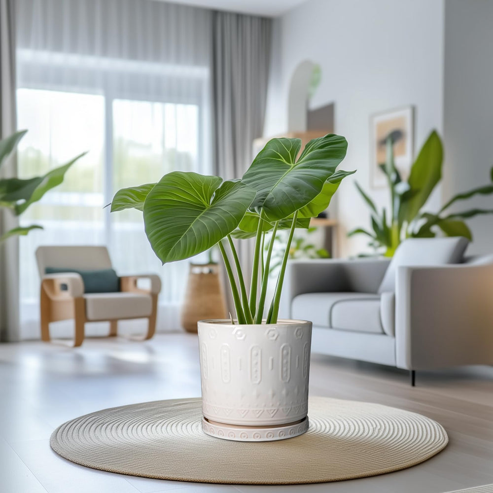 Eightpot outdoor patio styling demonstrating weather-ready planter enhancing décor