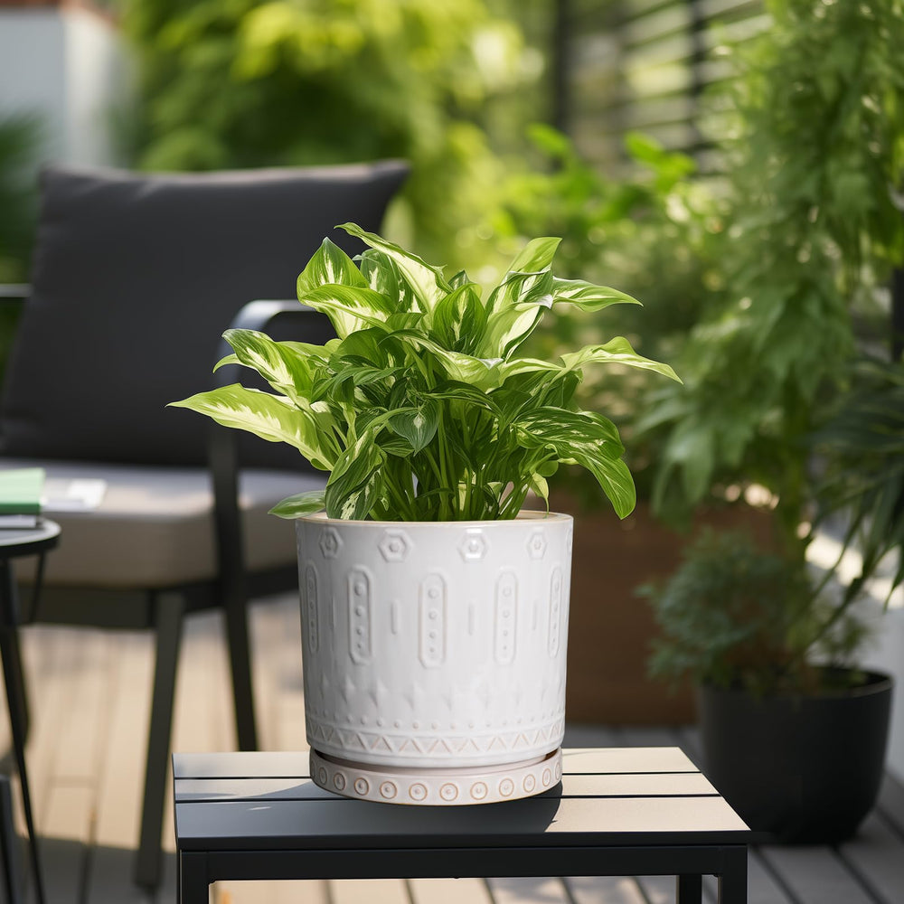 Eightpot close-up of patterned glaze detail highlighting texture and stylish appeal