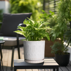 Eightpot close-up of patterned glaze detail highlighting texture and stylish appeal
