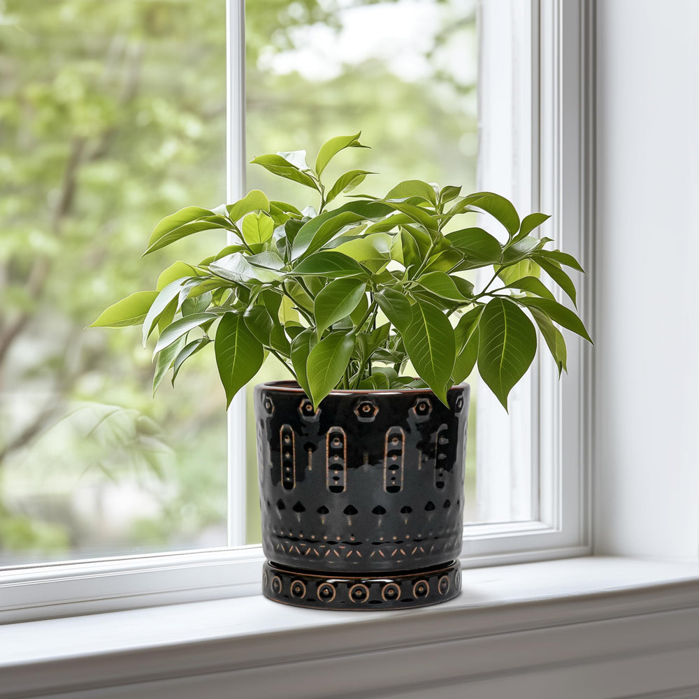 Eightpot close-up of patterned texture highlighting decorative finish and depth