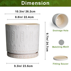 Eightpot planter staged with plant in living room to show aesthetic and space saving benefit