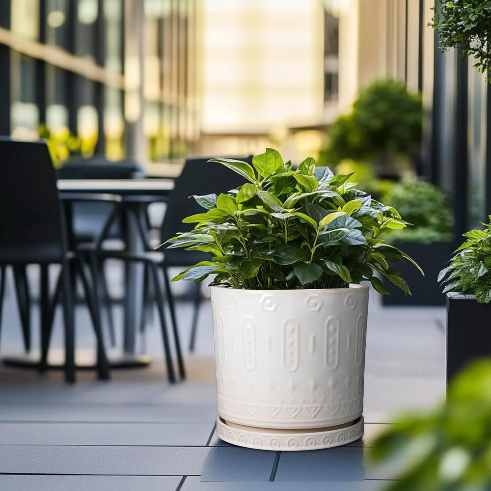 Eightpot planter styled with fiddle leaf fig adding elegant greenery to a living room