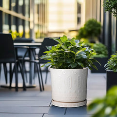 Eightpot planter styled with fiddle leaf fig adding elegant greenery to a living room