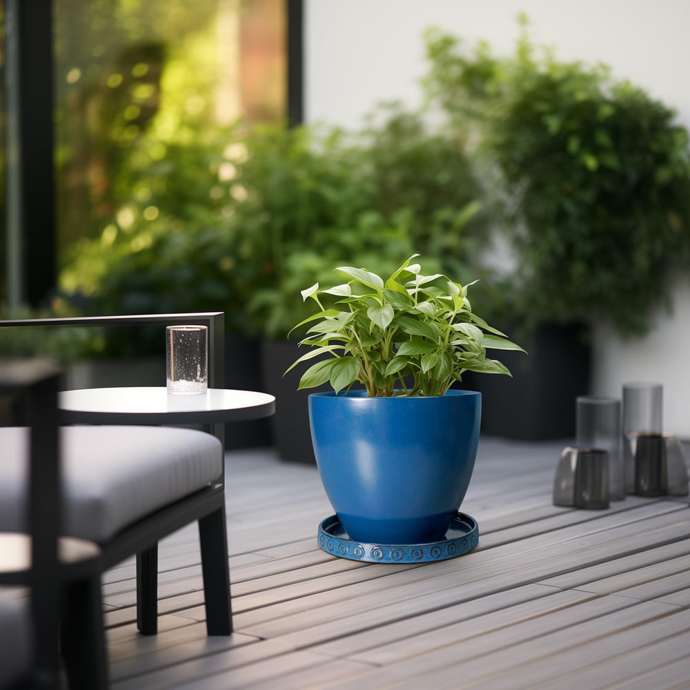 Eightpot saucer in use under potted plant catching water and keeping surfaces dry