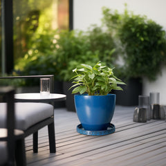 Eightpot saucer in use under potted plant catching water and keeping surfaces dry