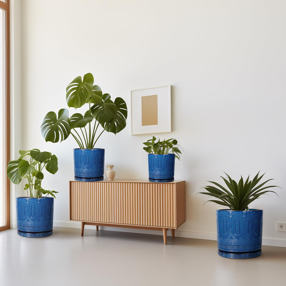 Eightpot planter used for a bonsai arrangement showing versatility for small trees