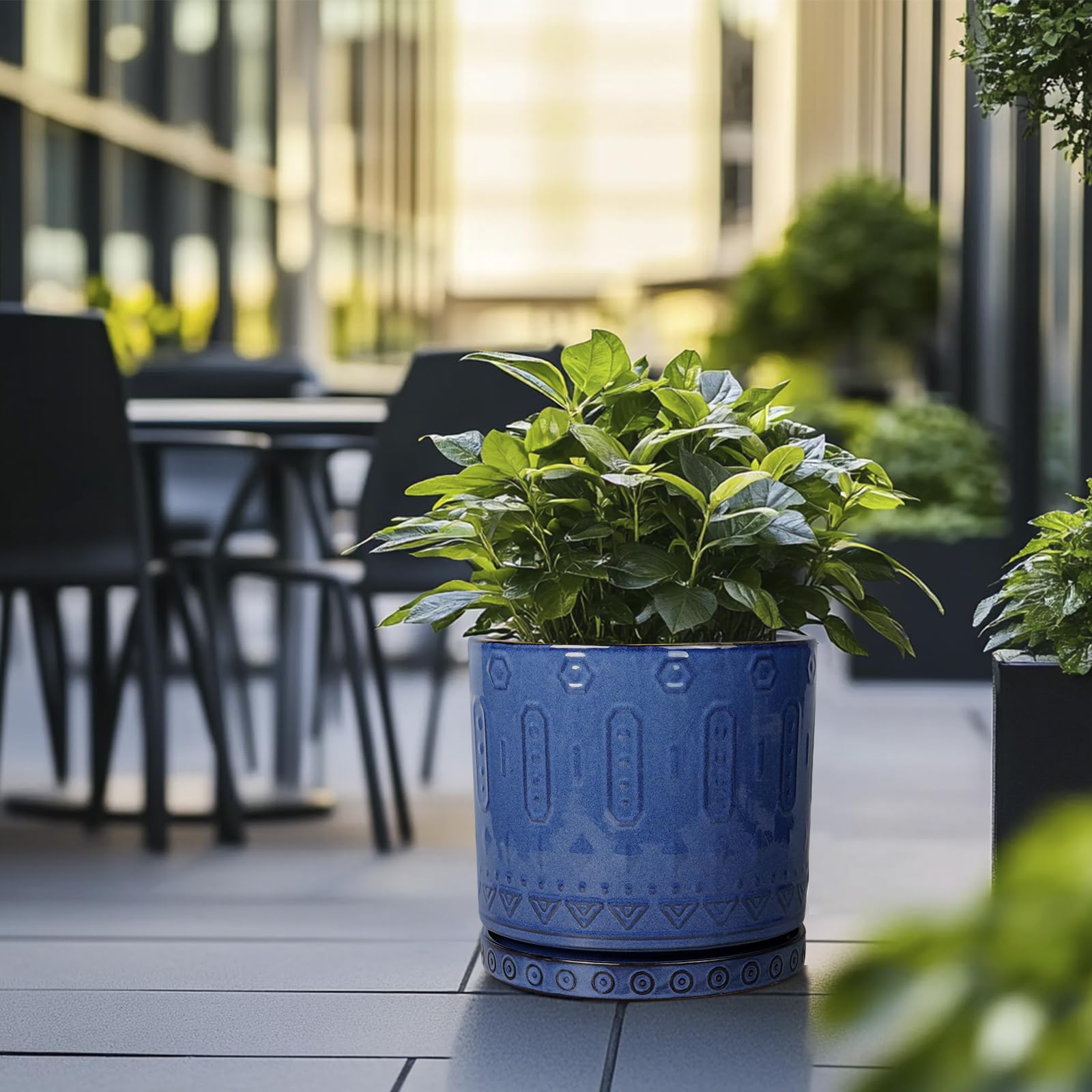 Eightpot planter holding a monstera in a living room offering stylish greenery display