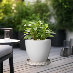 Eightpot rim and depth detail showcasing sturdy ceramic construction benefit