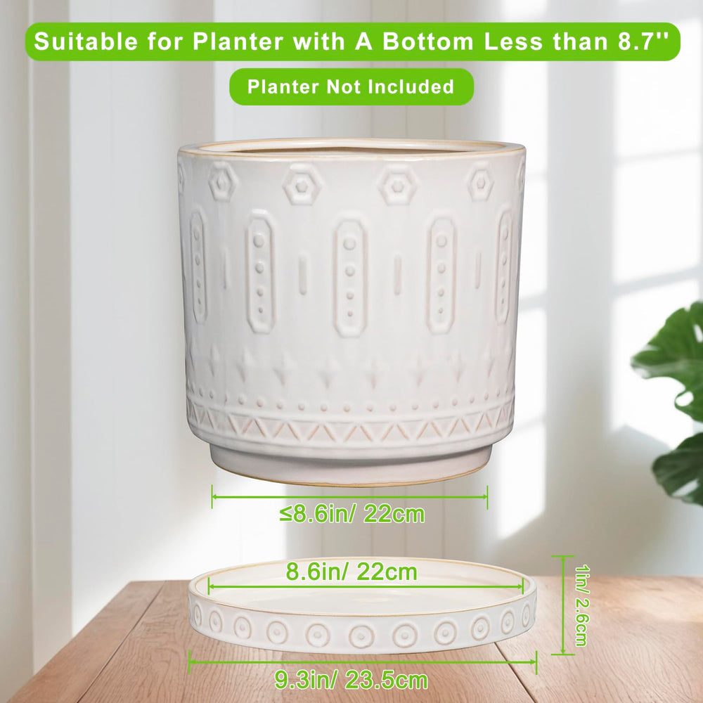 Eightpot saucer under potted plant demonstrating water-catching benefit for indoor use