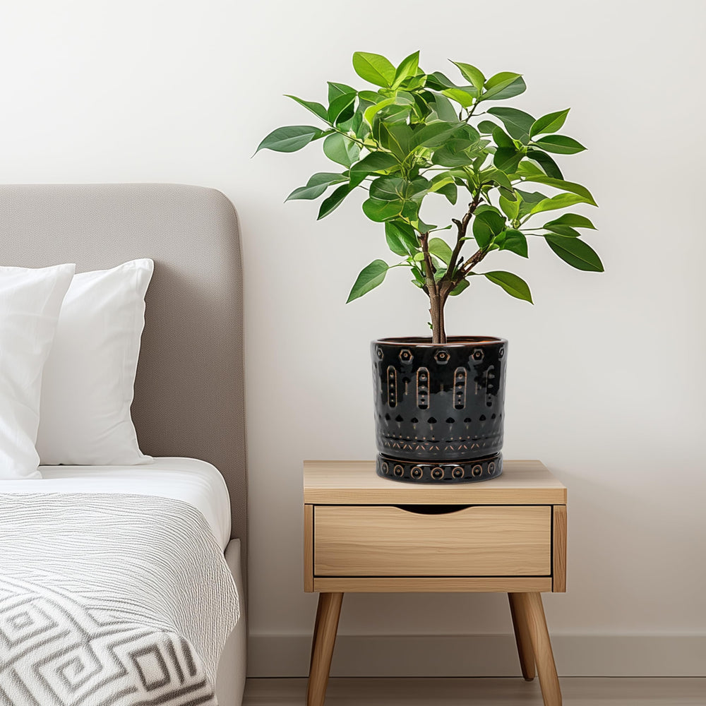 Eightpot side profile showing matte finish and durable ceramic construction