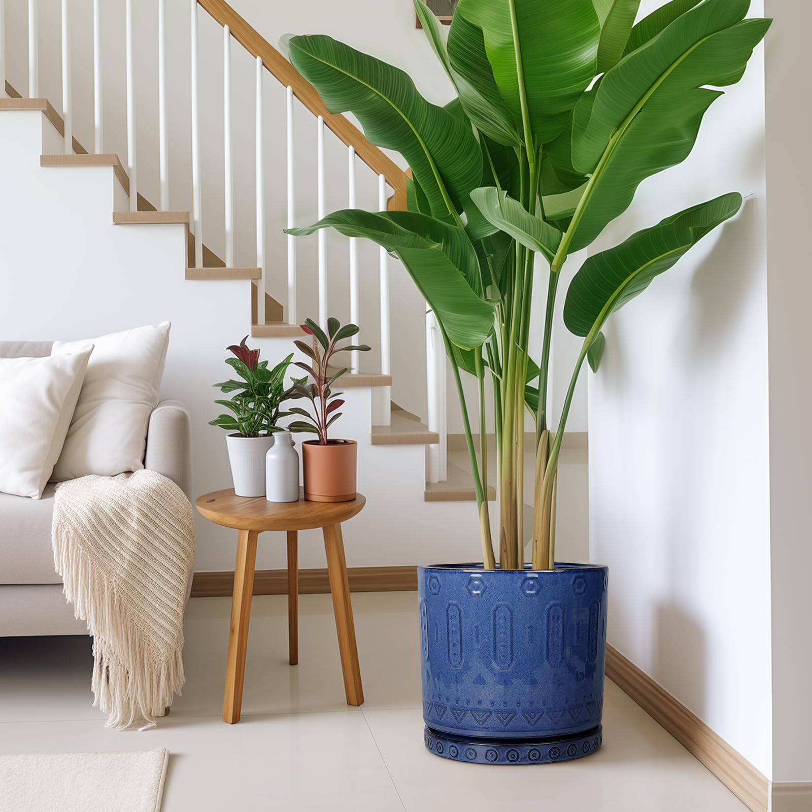 Eightpot tabletop display with potted plant showing clean, polished look