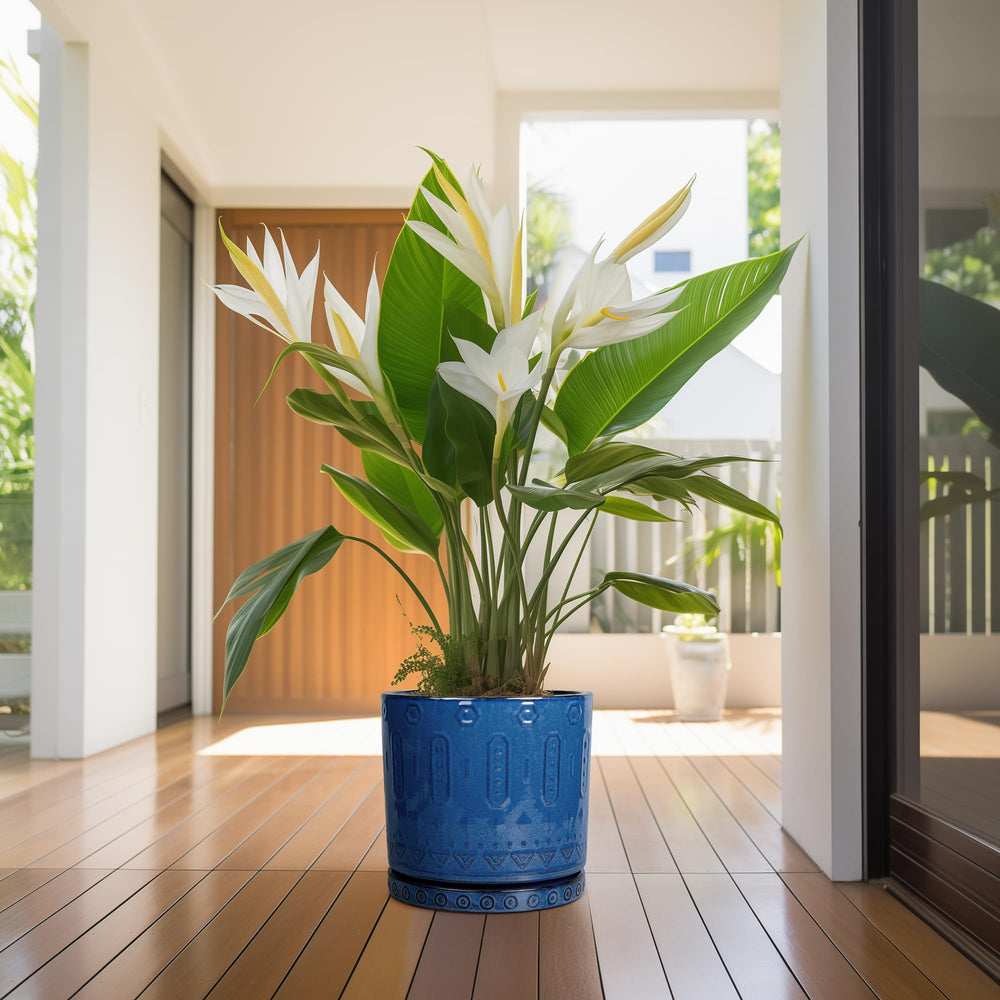 Eightpot focus on texture and edge detail demonstrating durable ceramic quality