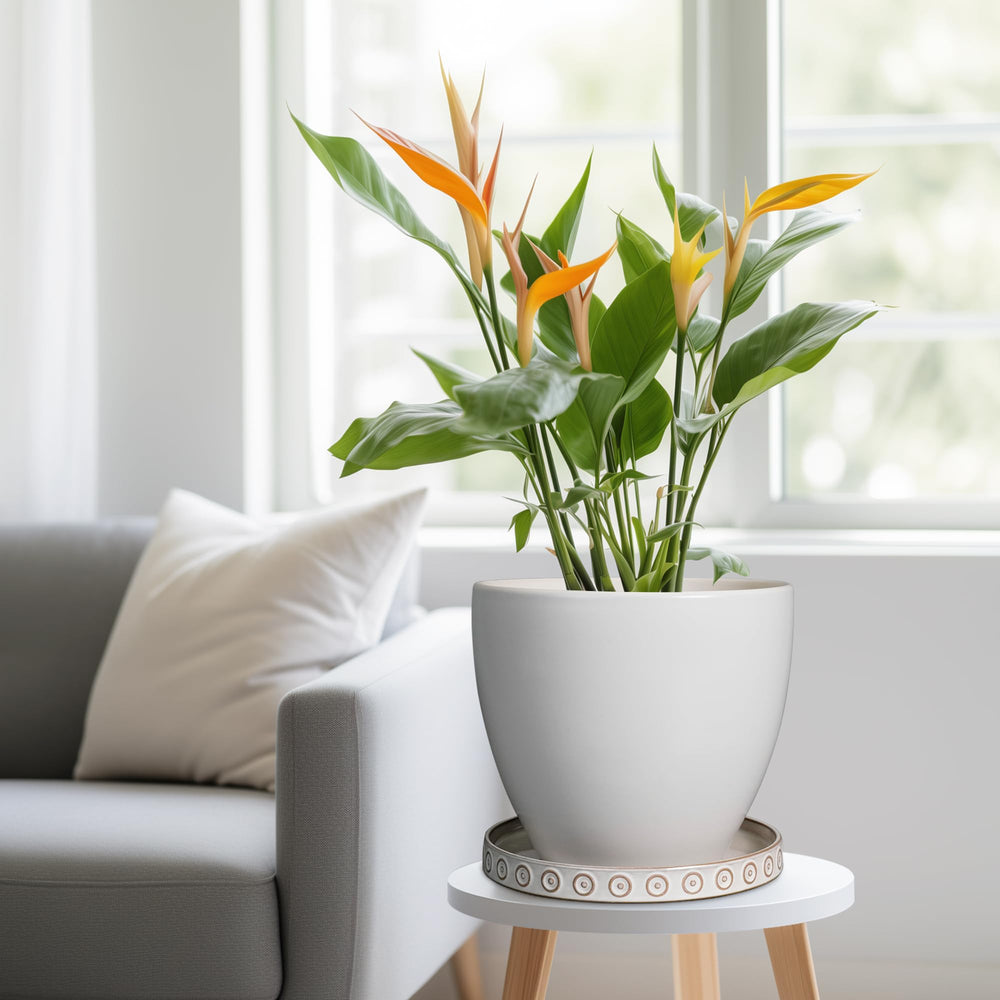 Eightpot texture detail emphasizing smooth glaze and benefit of stain resistance