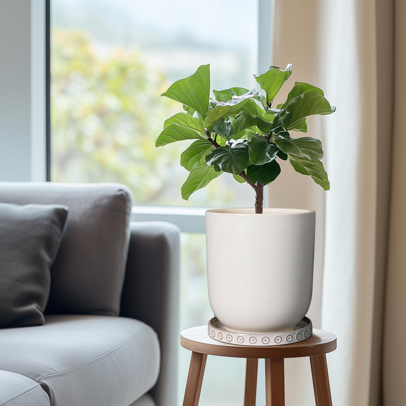 Eightpot tray holding potted plant indoors protecting table surfaces from water