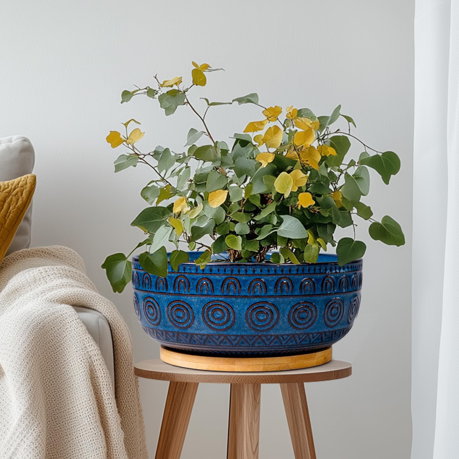 Eightpot styled with succulent in living room for decorative appeal