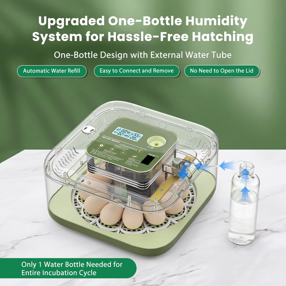 Eiictneh egg tray loaded with eggs demonstrating even spacing and capacity