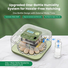 Eiictneh egg tray loaded with eggs demonstrating even spacing and capacity