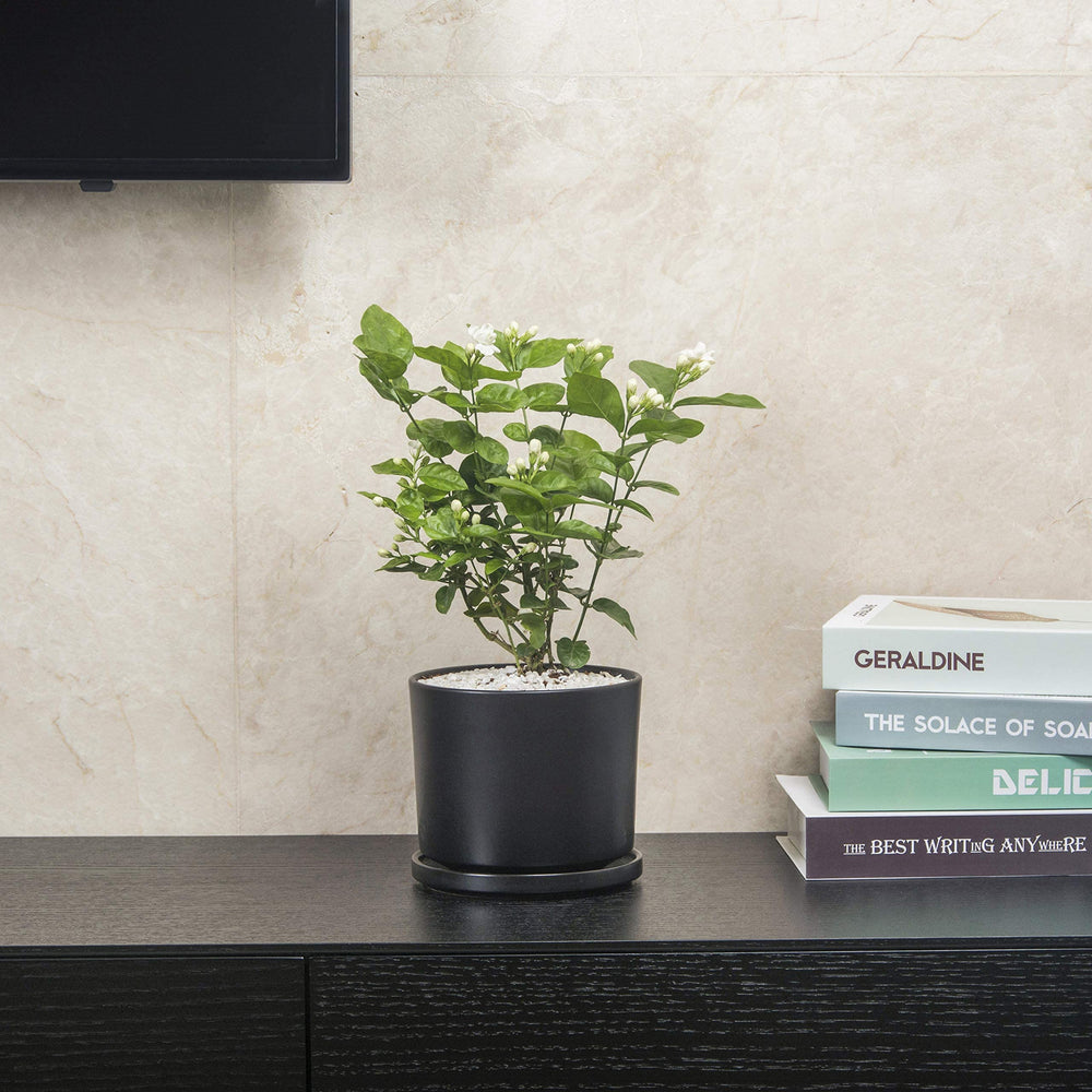 Ekirlin ceramic pot close-up of frosted matte texture, durable look and tactile appeal