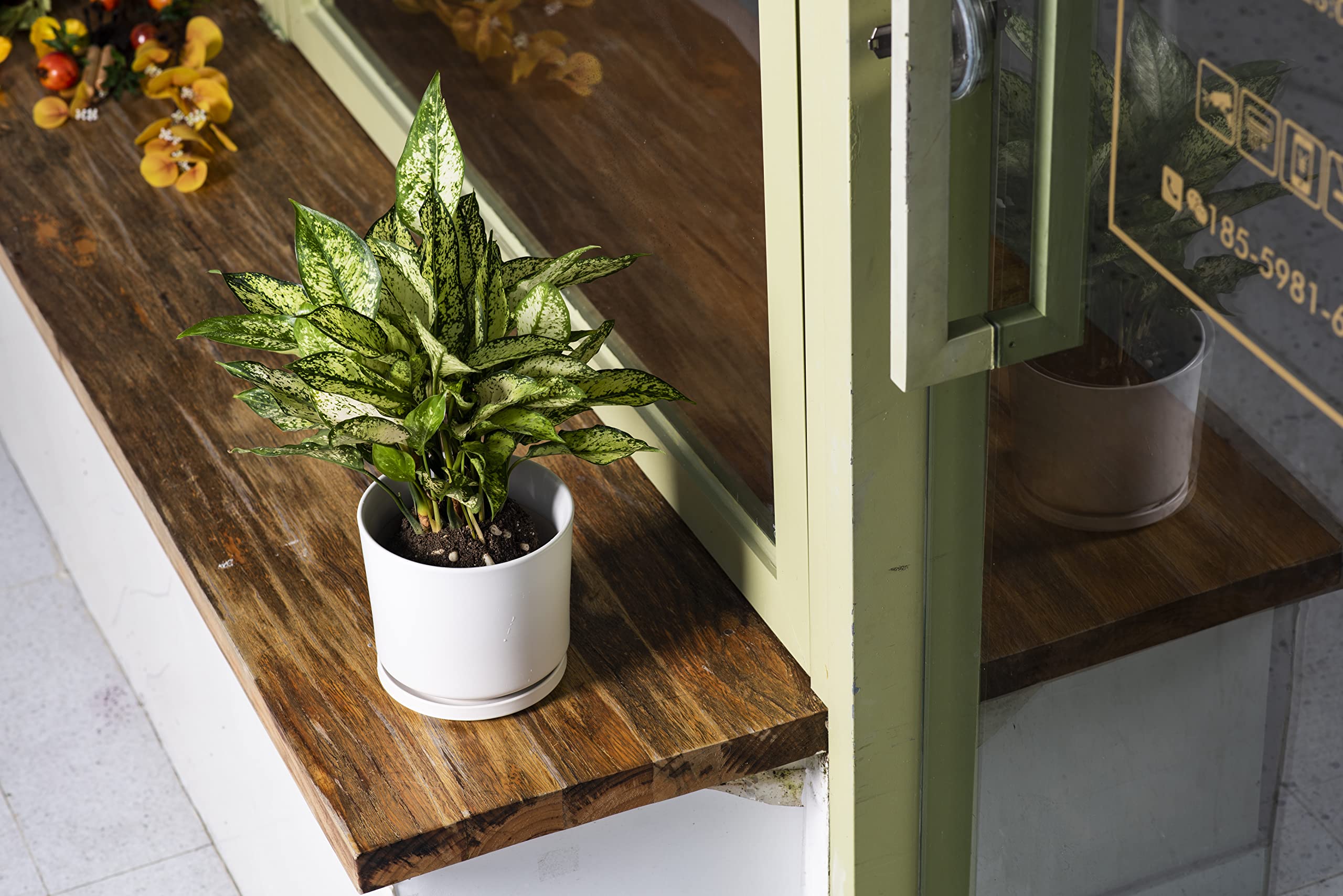 Ekirlin pot held in hand to show 7-inch scale and benefit of compact sizing for small spaces