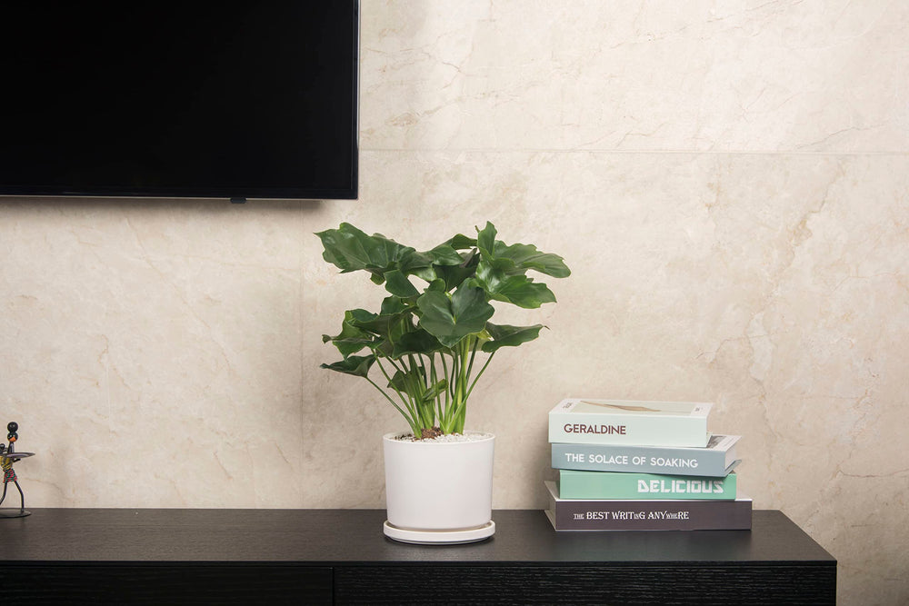 Ekirlin side profile displaying smooth ergonomic lines and benefit of elegant, space-saving design