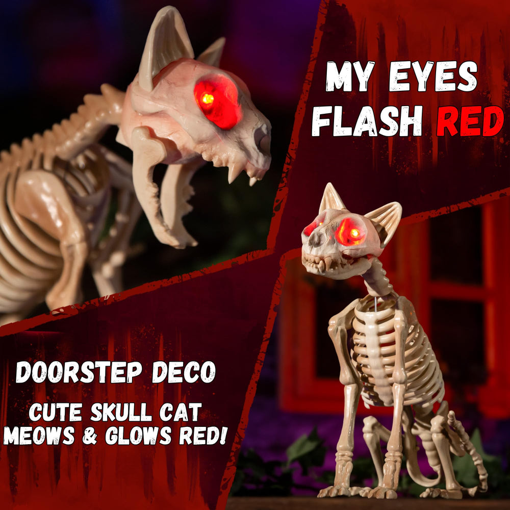 ELAMAS red eyes lit up at night creating a visible spooky effect