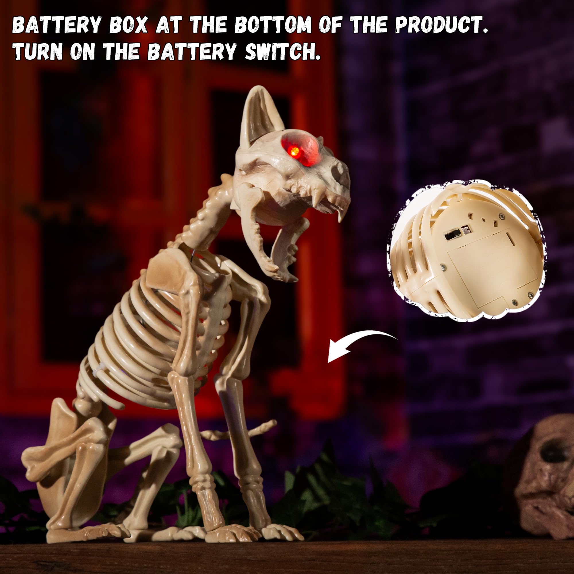 ELAMAS next to a shoe for size comparison to show the compact 15-inch scale