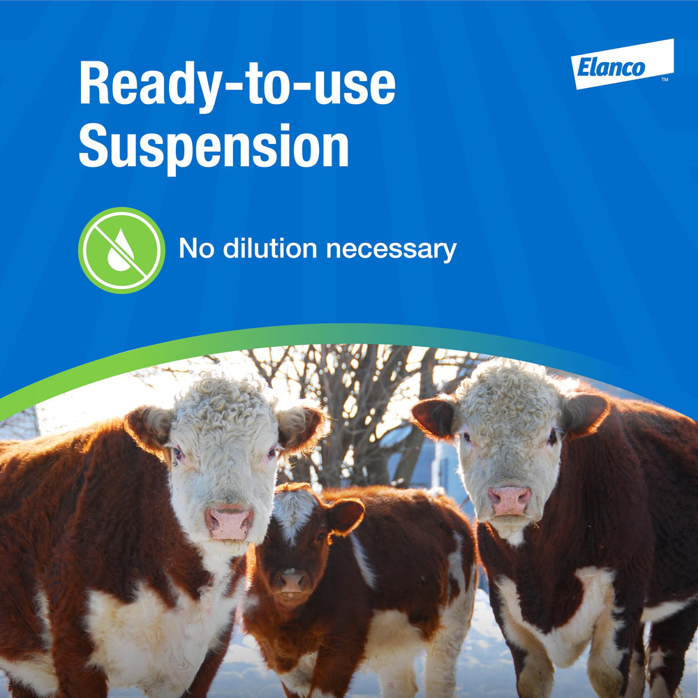 Elanco being poured along cattle backline to provide targeted pest protection