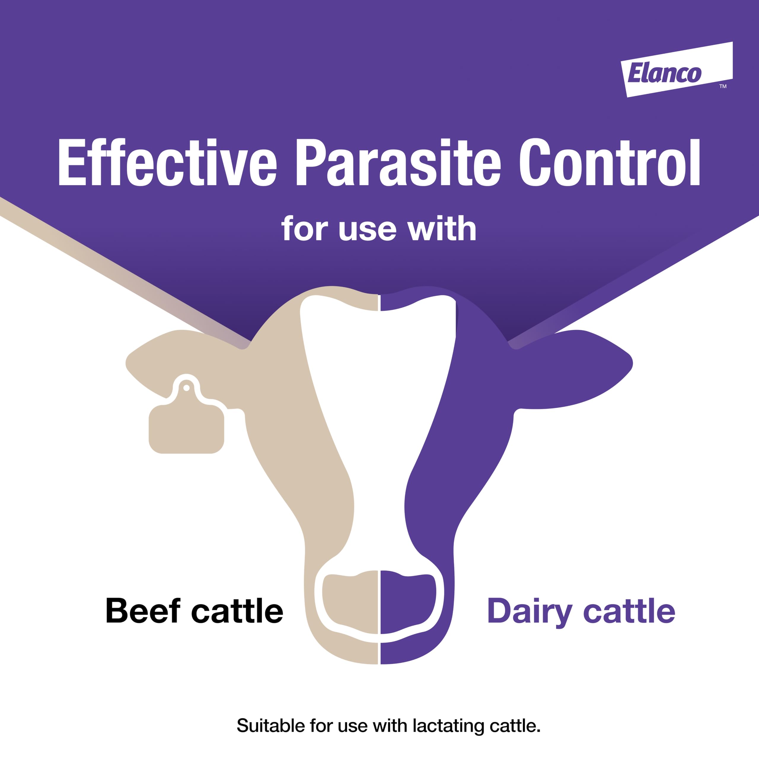 Elanco Cydectin being applied to cattle hindquarters demonstrating quick topical treatment benefit